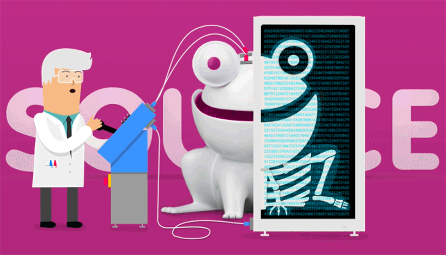 wyplay website 2017 animation 4